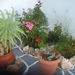 Gasthof Koxilas Studios 4*